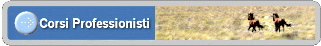 Corsi Professionisti